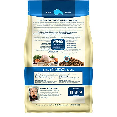 Blue Buffalo Life Protection Formula Adult Dry Dog Food, Helps Build and Maintain Strong Muscles, Made with Natural Ingredients, Beef & Brown Rice Recipe, 5-lb. Bag