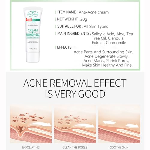 AICHUN BEAUTY Anti-Acne Cream Treats Pimple Clogged Pores Oil Control Reduces Acne Scars Shrinks Pores 20g / 0.68fl.oz