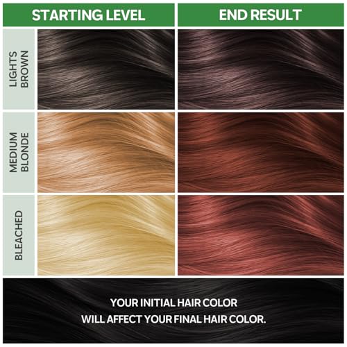 NOUGAT Amber Brown Hair Color Kit - 100% Gray Coverage, Ammonia Free