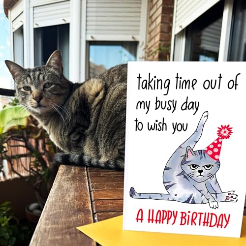 Taking Time out of My Busy Day to Wish You a Happy Birthday Handmade Card, Funny Bday Gift for Cat Mom, Cat Dad or Cat Lover