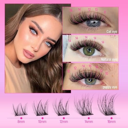 Ruairie Lash Clusters Wispy Eyelash Cluster Eyelash Extensions 154pcs Full Volume Cluster Lashes 8-16MM D-Curly Individual Lashes DIY Lash Extensions Natural Eye Lash Clusters