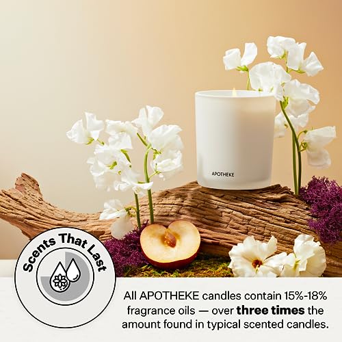 APOTHEKE White Vetiver Scented Candle - 10.5 Oz Home Fragrance