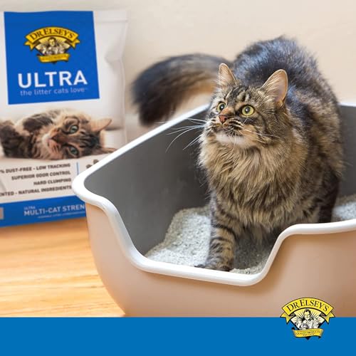 Dr. Elsey's Premium Clumping Cat Litter - Ultra - 99.9% Dust-Free, Low Tracking, Hard Clumping, Superior Odor Control, Unscented & Natural Ingredients