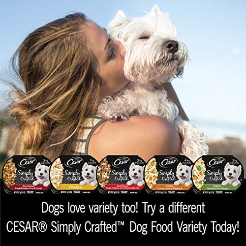 Cesar Wet Dog Food Simply Crafted Adult Wet Dog Food Cuisine Complement, Chicken, 1.3 Oz. Tub