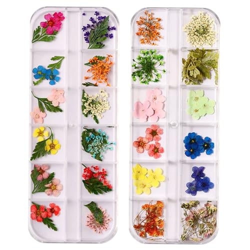 Dry Dried Flowers for Nails, Nails Decoration,Natural Pressed Petals for Nail Art Design, Perfect for DIY Manicure (A01)