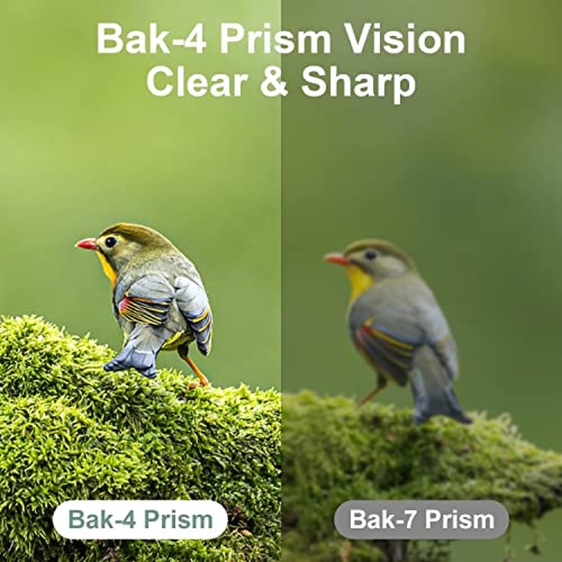 12X25 Compact Binoculars for Bird Watching & Concerts