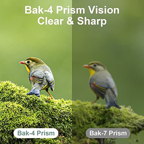 12X25 Compact Binoculars for Bird Watching & Concerts
