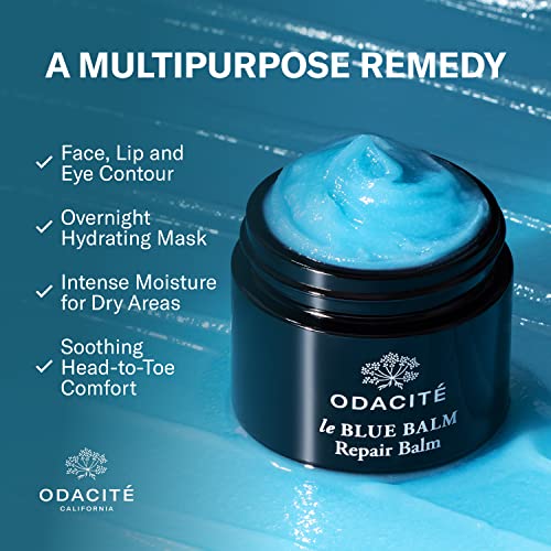 Odacit? Le Blue Balm Repair Balm, Blue Chamomile & Shea Butter, Multipurpose Face & Eye Moisturizer for Dry, Mature & Sensitive Skin, Barrier-Supporting Anti-Aging Cream, 1.69 fl oz.