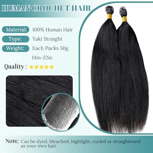 Human Crochet Hair Extensions 14 Inch Yaki Straight Pre-Separated Black #1B