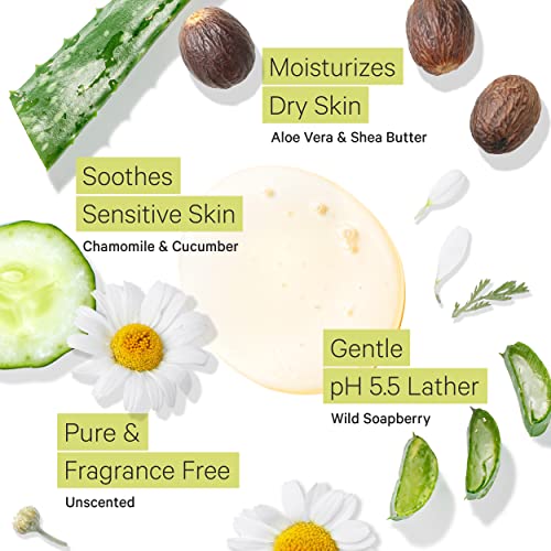 Tree to Tub Unscented Shea Butter Body Lotion for Dry Skin & Unscented Body Wash for Sensitive Skin - pH Balanced Fragrance Free Sensitive Lotion and Body Wash for Women & Men - Sulfate Free