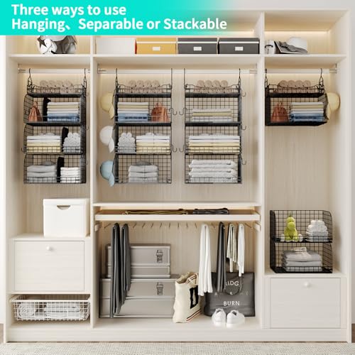 HapiRm 4-Tier Hanging Closet Organizer with Dividers