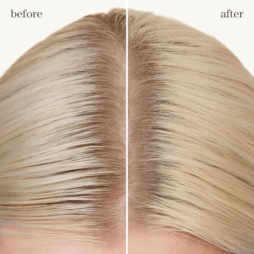 Pureology Refresh & Go Dry Shampoo for Oily, Color-Treated Hair