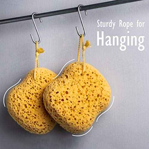 myHomeBody Bath Sponge, Foam Loofah, Body Scrubber for Bathing, Exfoliating Shower Pouf for Shower ? Large Size, Lots of Lather, Curvy, 2 Pack