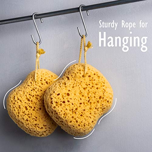 myHomeBody Foam Loofah Sponge, 2 Pack Large Size