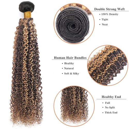 Brazilian Kinky Curly Hair Bundles T1B/P4/27 8-12 Inch