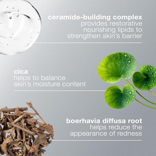 Dermalogica Stabilizing Repair Cream, Face Moisturizer for Sensitive Skin with Cica - Strengthens, Soothes, and Repairs Skin Barrier