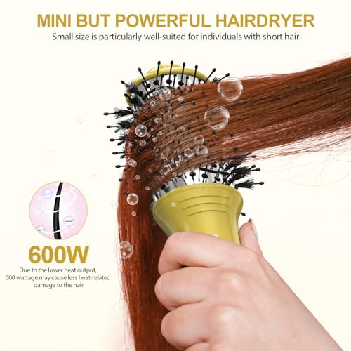 DAN Technology 2-in-1 Hot Air Brush - Dual Voltage Travel Blow Dryer
