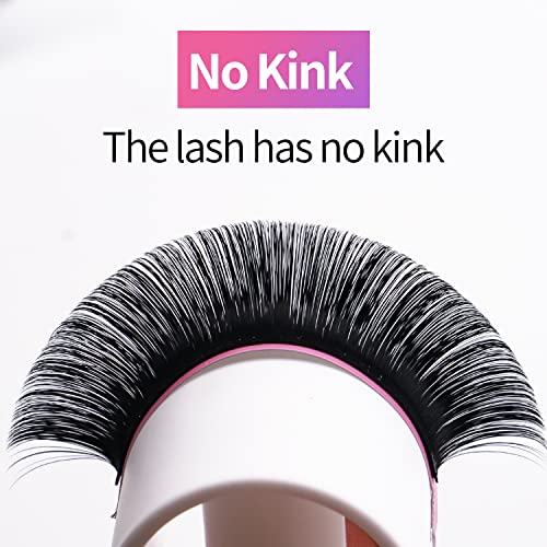 VEYES INC Classic Volume Lash Extensions 0.03-0.20 J/B/L/C/CC/D/DD Curl 5-25mm Mixed & Single Length Tray, Premium Silk Eyelashes, Professional Supplies for Lash Techs(Matte Black 0.15 D 8-16mm)
