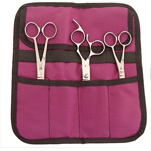 Roseline 4 Pocket Shear Case (pink)