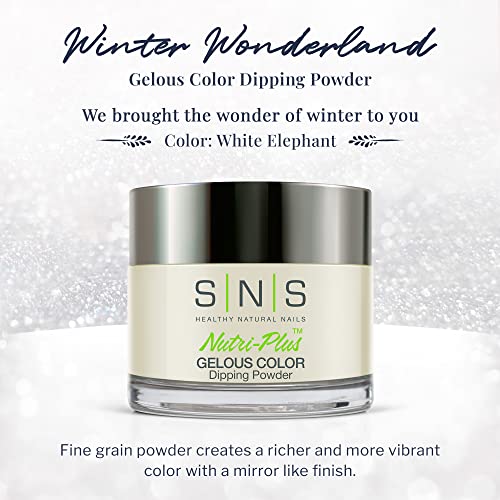 SNS Nails Dipping Powder Gelous Color - Winter Wonderland Collection - WW11-1oz