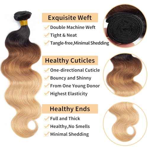 12A Grade Ombre Bundles Human Hair (T1B/30/27,20" 22" 24") Ombre Brown Body Wave Human Hair 3 Bundles 100% Unprocessed Virgin Brazilian Body Wave Hair Quick Weave