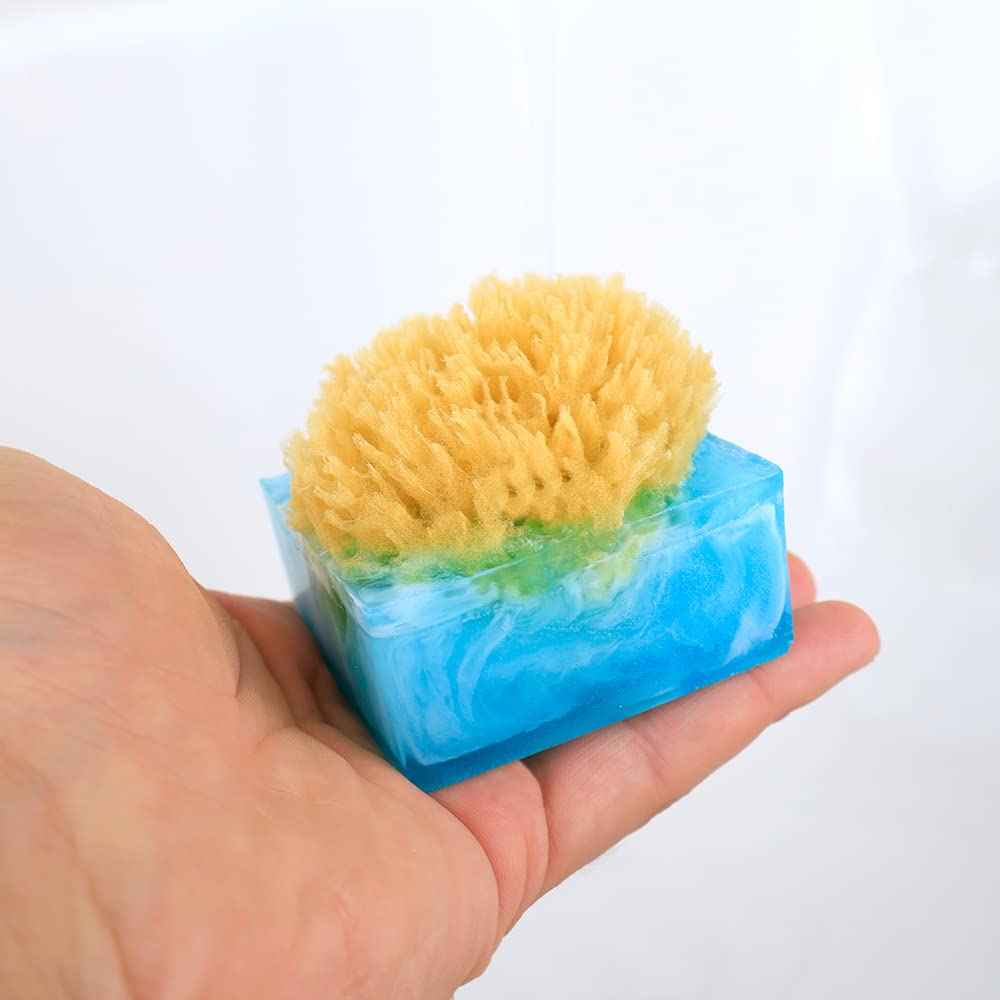 Primal Elements Facets of the Sea SpongeBar Soap (Pack of 2)