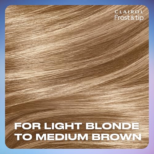Clairol Frost & Tip Blonde Highlights Hair Dye Kit