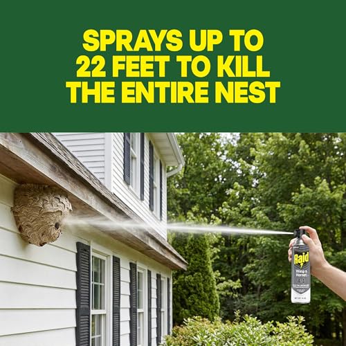 Raid Wasp & Hornet Killer Spray, 14 oz, 2-Pack