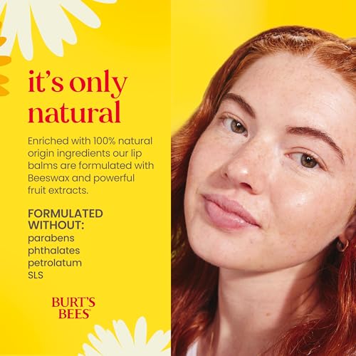 Burt's Bees Vanilla Bean Lip Balm - 2 Tubes, 0.15 oz