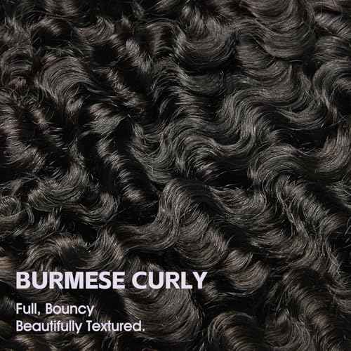 OQ HAIR Burmese Curly Glueless Wigs Human Hair Pre Plucked Pre Cut 180% Density 9x6 HD Lace Wear and Go Glueless Wig for Women Natural Color 22 Inch