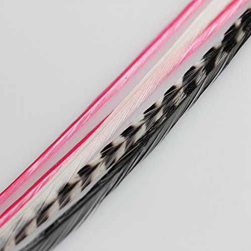 Feather Hair Extensions 8-11" Red Black White Grizzly 5 Pack