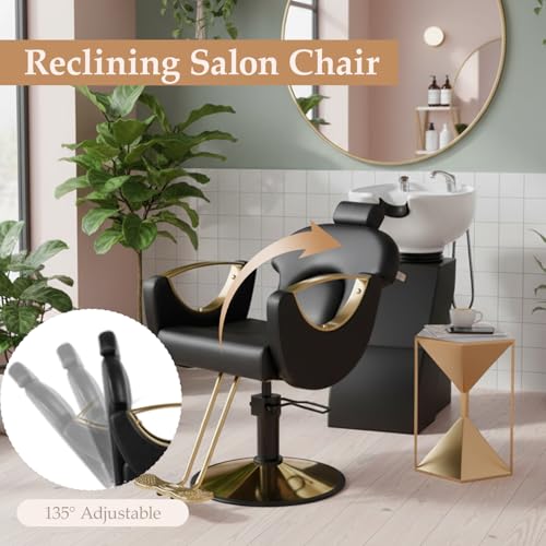 Professional Reclining Barber Chair with Hydraulic Pump