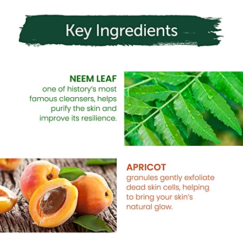 Himalaya Purifying Neem Scrub with Neem and Apricot, For Normal to Oily Skin, Free from Parabens, SLS, and Phthalates, Dermatologically Tested, 150 ml (5.07 oz)