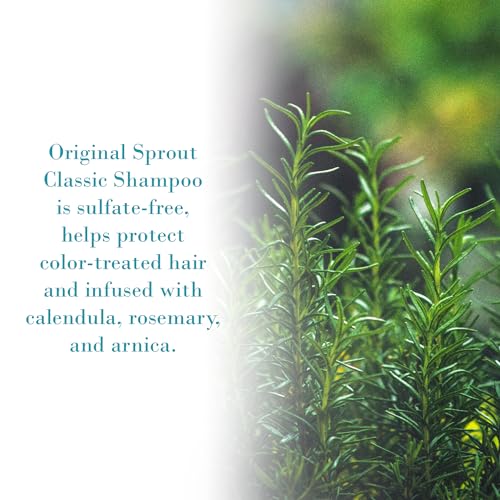 Original Sprout Classic Shampoo for All Hair Types, Sulfate Free and Vegan Shampoo, 3 oz. Bottle