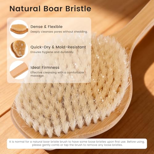 Bamboo Back Scrubber 17in Curved Handle with Boar Bristles
