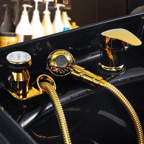 Salon Shampoo Bowl Faucet Kit with Spray Hose & Vacuum Breaker