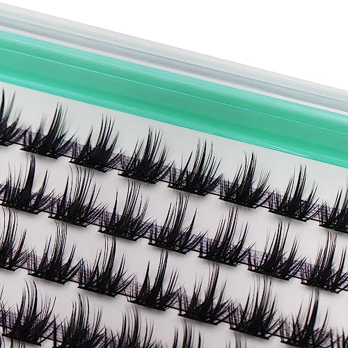 Bodermincer XXXL Tray 336PCS D Curl Cluster Lashes 10-12-14-16mm Mixed Length DIY Eyelashes Extension at Home (M01+M02 Mixed Length D Curl)