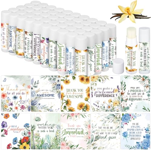 Dansib 50 Pack Christmas Staff Employee Appreciation Gifts Bulk Lip Balms Gifts Team Small Thank You Holiday Party Office Gifts for Women Men Teachers Nurses Volunteers Homeless