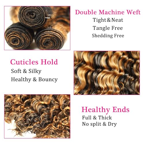 DiexrLamx 1B/30 Ombre Deep Wave Human Hair Bundles - 3 Pack