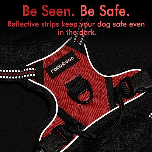 rabbitgoo Dog Harness, No-Pull Pet Harness with 2 Leash Clips, Adjustable Soft Padded Dog Vest, Reflective No-Choke Pet Oxford Vest with Easy Control Handle for Small Dogs, Red,XS