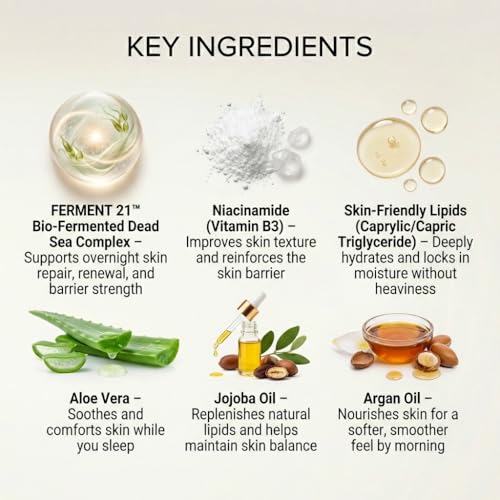 SEACRET Bio Skin Hydration Night Cream - Bio-Fermented Dead Sea Minerals with Niacinamide, Jojoba & Argan Oil - Deep Overnight Non-Greasy Hydration and Repair for Firmer, Renewed Skin, 1.7 fl oz