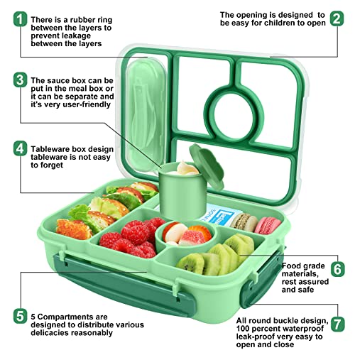 Demiue Lunch Box Kids,Bento Box Adult Lunch Box, Bento Lunch Containers for Adults/Kids/Toddler,5 Compartments with Sauce Vontainers,Microwave & Dishwasher & Freezer Safe,BPA Free(Green)