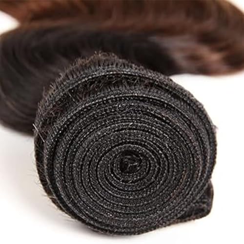 Hailookmey 10 Inch Ombre Brown Blonde Body Wave Human Hair Bundles 100g