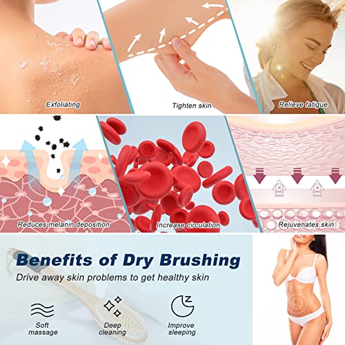 Long Handle Back Scrubber Brush for Shower – Double-Sided Exfoliating Body Brush for Women & Men