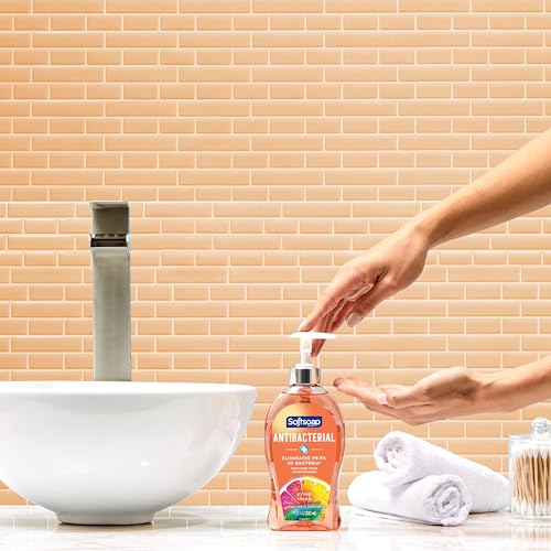 Softsoap Body Wash, Pomegranate & Mango Spritz Body Wash, 20 Fl Oz (Pack of 4) & Antibacterial Liquid Hand Soap, Crisp Clean Scent Hand Soap, 11.25 Ounce, 6 Pack