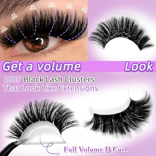 Lash Clusters 200D Long Lash Clusters Thick Volume Lashes Clusters 12-22mm Eyelash Clusters D Curly Cluster DIY at Home Wispy Individual Lashes for Beginners Eyelash Extension by FOINEMYED