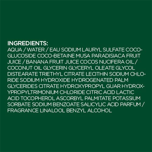 Garnier Fructis Pure Clean Purifying Shampoo,Silicone-Free,12.5 Fl Oz,(Packaging May Vary),(Pack of 2)