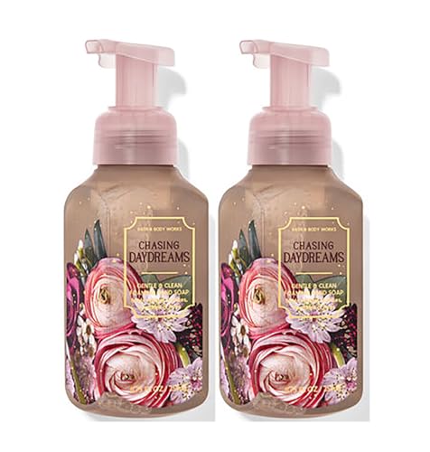 Bath & Body Works Bath and Body Works Gentle Foaming Hand Soap 8.75 Ounce 2-Pack (Chasing Daydreams)