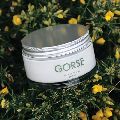 Laboratory Perfumes Gorse Body Cream | Brightening Moisturiser with Vitamin C & Antioxidants | Infused with Gorse Fragrance (200ml)