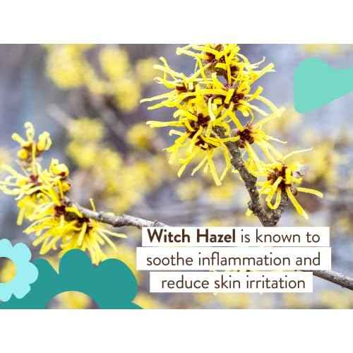 Babo Botanicals Eucalyptus Remedy Shampoo & Wash - Invigorating Eucalyptus & Rosemary Essential Oils -For all Ages - EWG Verified - Vegan - Cruelty Free